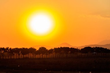 Tanzanya 'da savananın üzerinde güzel bir Afrika gün batımı