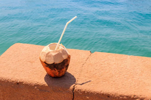 Verse Tropische Kokosnoot Cocktail Met Drinkstro Bij Oceaan — Stockfoto