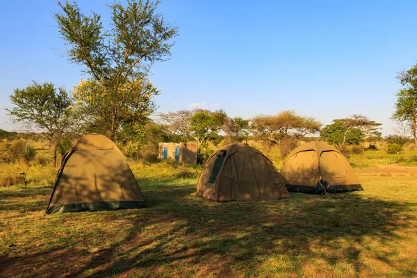 Safari Parque Campismo Serengeti National Park Tanzânia — Fotografia de Stock