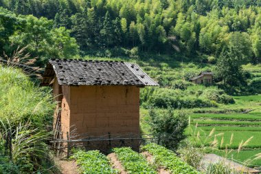 Kırsalda, mavi gökyüzünün altında tarlalar ve evler