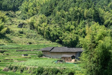 Kırsalda, mavi gökyüzünün altında tarlalar ve evler
