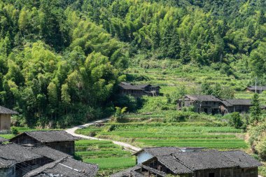 Kırsalda, mavi gökyüzünün altında tarlalar ve evler