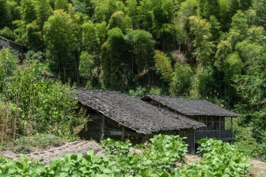 Kırsalda, mavi gökyüzünün altında tarlalar ve evler