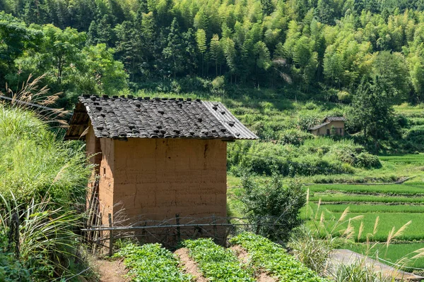 Kırsalda, mavi gökyüzünün altında tarlalar ve evler