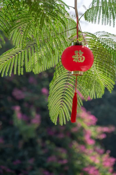 Mavi Gökyüzünün Altındaki Ağaçlara Kırmızı Fenerler Asılıdır Çince Ile Şanslı — Stok fotoğraf