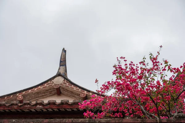 Telhados Beirados Dos Templos Chineses Tradicionais — Fotografia de Stock