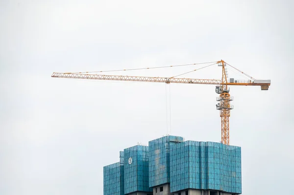 Bewolkte Dagen Grote Hoogte Boom Hoogbouw Moderne Steden Aanbouw — Stockfoto