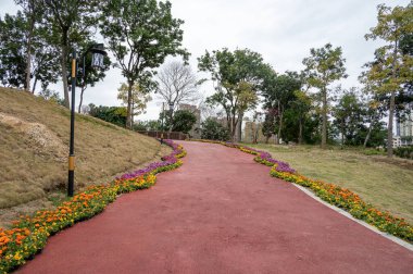 Modern şehir parkındaki kırmızı asfalt pist her iki taraftaki yeşil bitkilerle çevrilidir.