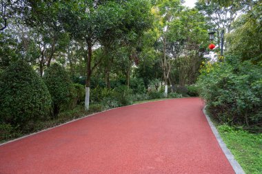 Modern şehir parkındaki kırmızı asfalt pist her iki taraftaki yeşil bitkilerle çevrilidir.