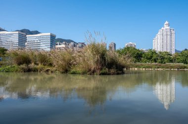 Nehir mavi gökyüzünün altındaki modern şehir binalarını yansıtıyor.