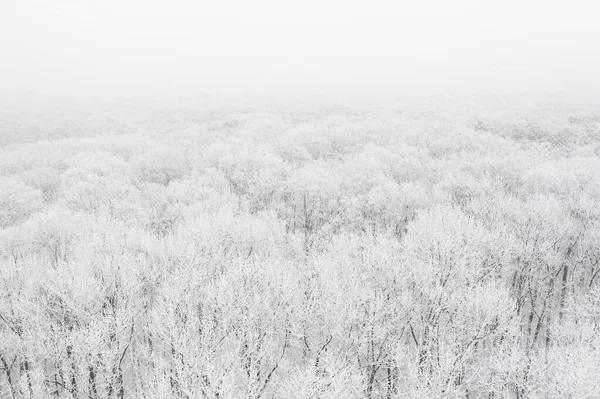 雪と霜に覆われた冬の森 空中風景 — ストック写真
