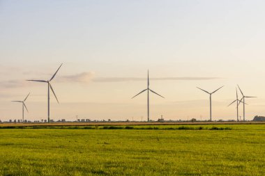 Yeşil çayır üzerindeki yel değirmeni çiftliği, rüzgar enerjisi kullanan yeşil enerji üretimi