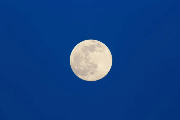 Super Luna Galbenă Strălucește Împotriva Cerului Albastru Închis Seara Fundal — Fotografie, imagine de stoc