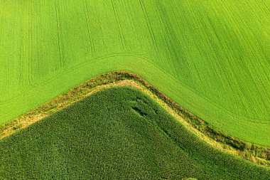 Aerial view of green fields and cutoff
