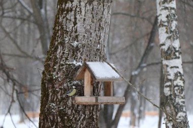 Kırmızı, beyaz güller ve zambaklardan oluşan bir buket