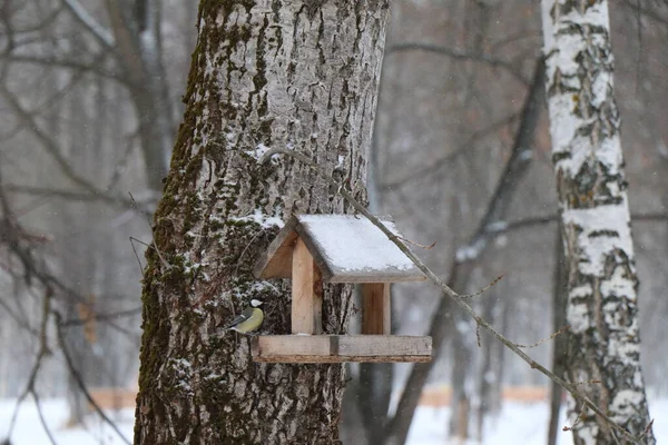 Kırmızı, beyaz güller ve zambaklardan oluşan bir buket