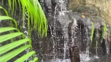 Eğreltiotlarının yakın çekimi düşen suyun arka planında esen meltemle hareket eder. Yavaş Hareket