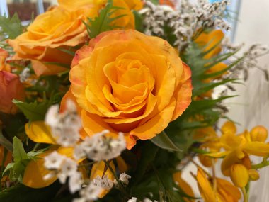 Grup birçok turuncu gül