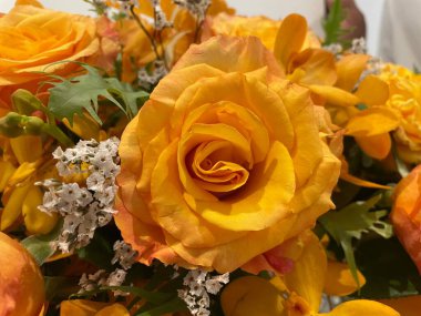 Grup birçok turuncu gül