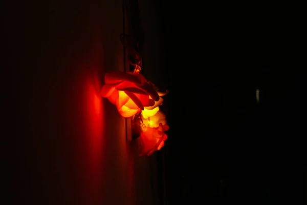 Prachtig Licht Rozenvorm Rood Licht Warme Verlichting Mooie Lichten Voor — Stockfoto