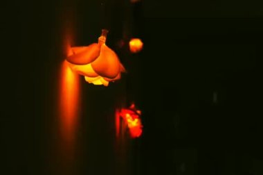 Gül formundaki güzel ışıklar. Kırmızı ve Sarı Gül. Ilık Işıklandırma ve Bokeh