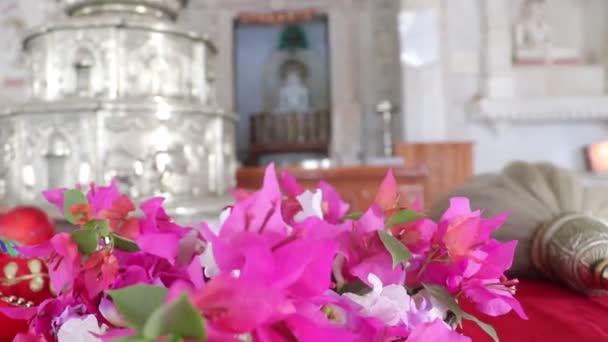 Beautiful Jain Temple Statue Jain Main God — Video