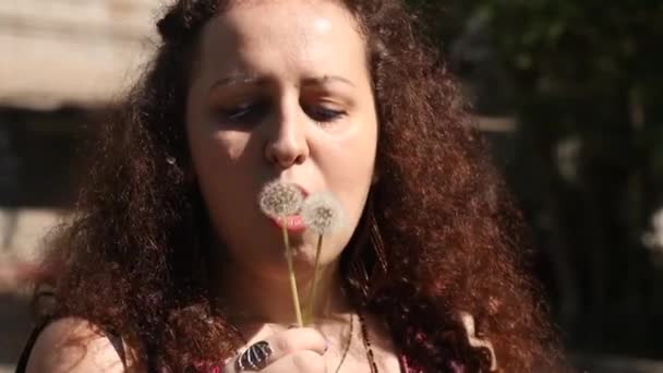 Woman Plays Dandelon Lovely Moment Flying Seeds Summer Joy — стоковое видео