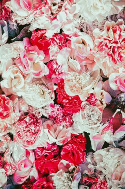 White and red rose petals. Vertical Floral Pattern