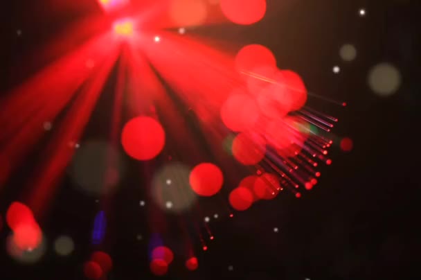 Tatiller Için Kırmızı Işıklar Bayramlar Etkinlikler Tatille Parıltılı Selamlar Dilekler — Stok video