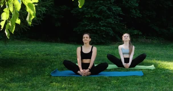 Parkta Kelebek Pozuyla Yoga Yapan Iki Kız Genç Kadınlar Dışarıda — Stok video