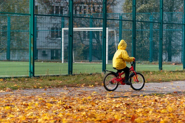 Enfant Vélo Randonnée Sur Aire Jeux Sur Fond Jaune Feuilles — Photo