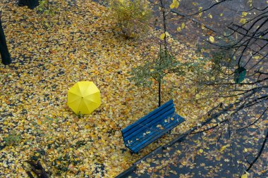 Sonbahar avlusunda boş bir bank, düşmüş yapraklar ve büyük sarı bir şemsiyenin altından geçen biri. Üst görünüm.