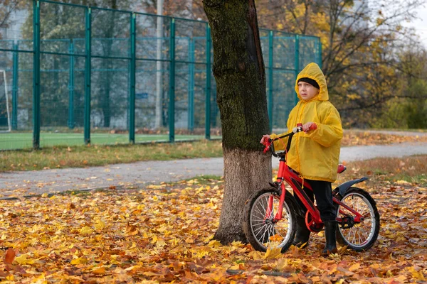 Garçon Tient Dans Parc Avec Son Vélo Entouré Feuilles Jaunes — Photo