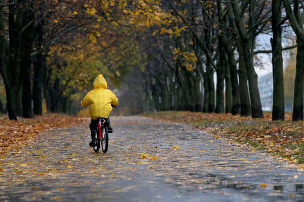Niño Impermeable Amarillo Monta Bicicleta Parque Lluvioso Otoño Lonely Boy — Foto de Stock
