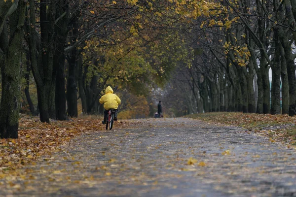 Niños Paseos Bicicleta Lluvioso Parque Otoño Lonely Boy Monta Una — Foto de Stock
