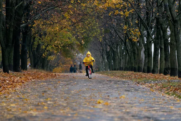 Niño Impermeable Amarillo Monta Bicicleta Parque Lluvioso Otoño Solitario Niño — Foto de Stock