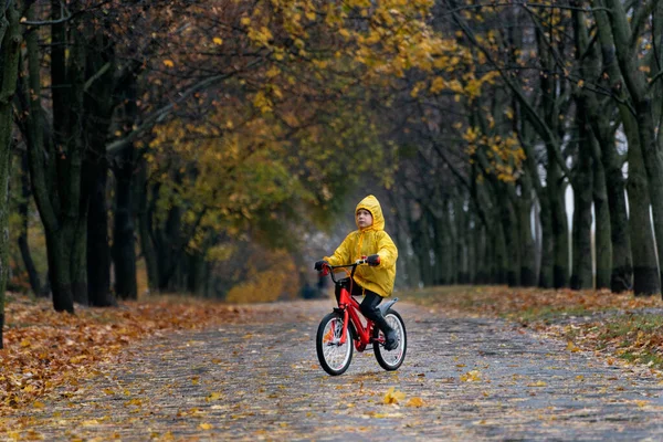 Niños Paseos Bicicleta Desierto Parque Otoño Niño Impermeable Amarillo Monta — Foto de Stock