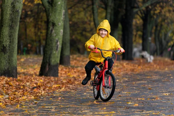 Vicces Fiú Sárga Esőkabátban Biciklizik Egy Őszi Parkban Gyermek Esőkabátban — Stock Fotó