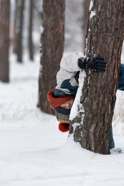Boy Walks Park Hides Tree Child Has Fun Winter Park — Stock Photo, Image