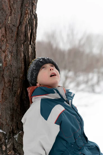 Πορτρέτο Του Αγοριού Χειμερινά Ρούχα Κοντά Στο Δέντρο Στο Φόντο — Φωτογραφία Αρχείου