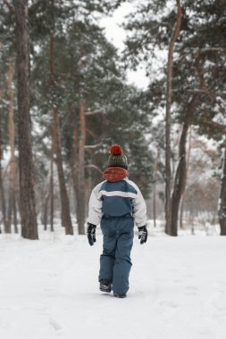 Kış tulumlu çocuk karda ormanda yürüyor. Arkadan bak. Ladin Ormanı 'nda kış tatili
