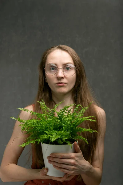 Дівчина Довгим Волоссям Одягнена Круглі Окуляри Тримає Зелену Кімнатну Рослину — стокове фото
