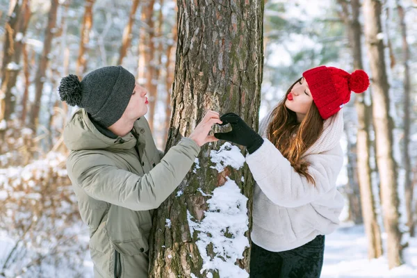 Couple Love Winter Forest Keeps Hands Heart Shape Sign Send — Zdjęcie stockowe