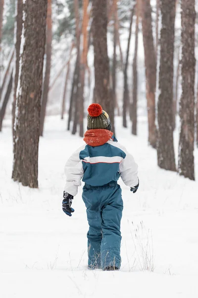 Close Portrait Child Winter Clothes Boy Goes Snowy Forest Back — Stock fotografie