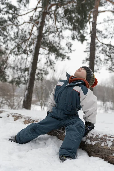 Portrait Garçon Dans Forêt Hiver Enfant Est Assis Sur Tronc — Photo