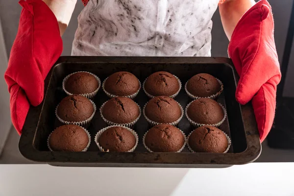 Homemade chocolate muffins on baking sheet. Hands of cook with just baked hot cupcakes