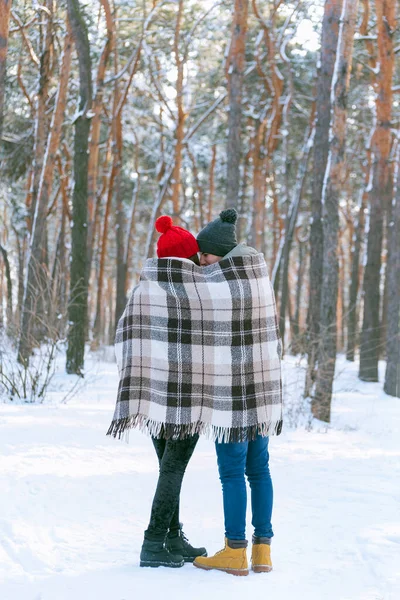 可爱的夫妇站在冬季公园的温暖的毛毯下 团结与爱的回眸 — 图库照片