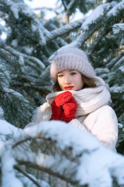 Beautiful girl in a warm hat and mittens stands among the snow-covered pine trees. Sunny winter day.