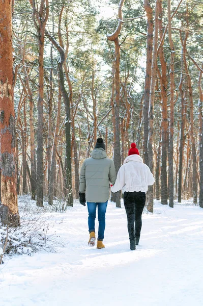 男孩和女孩牵着手 在雪地的公园里散步 后视镜年轻夫妇在冬天穿过森林散步 垂直框架 — 图库照片
