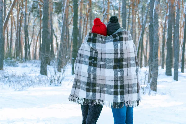 戴着针织帽子 冬天站在公园里的男孩和女孩被温暖的毛毯覆盖着 背景色 — 图库照片